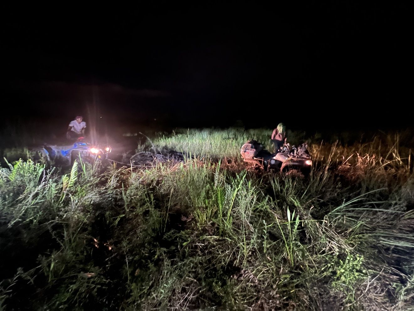 ATVs riding through tall grass on a night ride