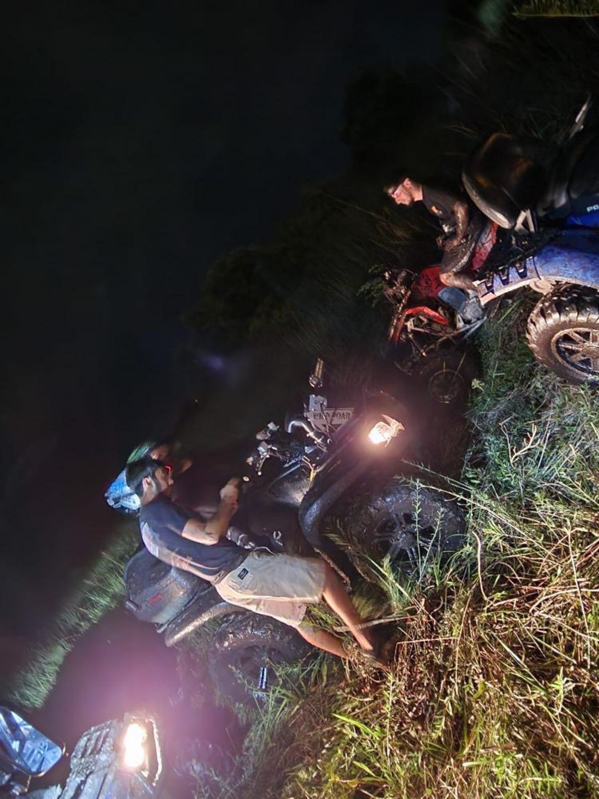 Riders on ATVs in tall grass at night