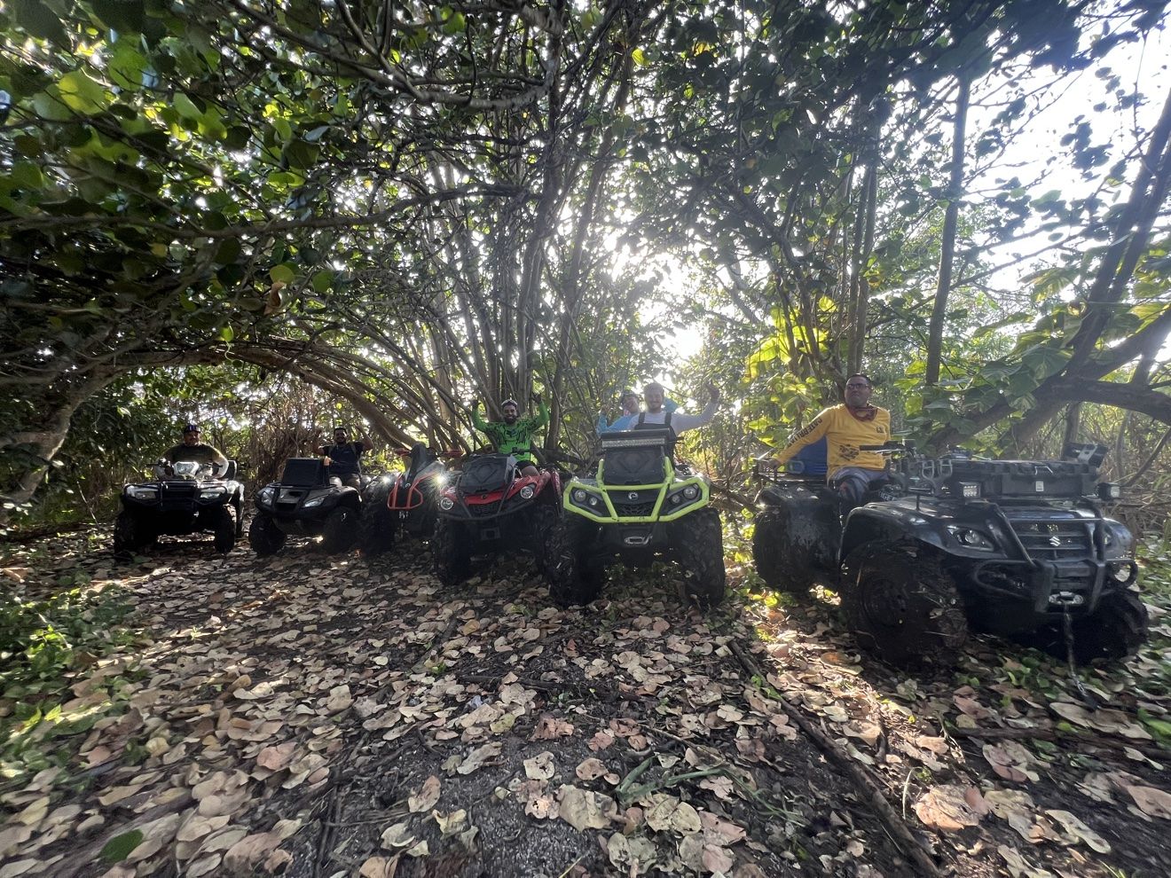 Lineup of ATVs on a muddy trail in the woods