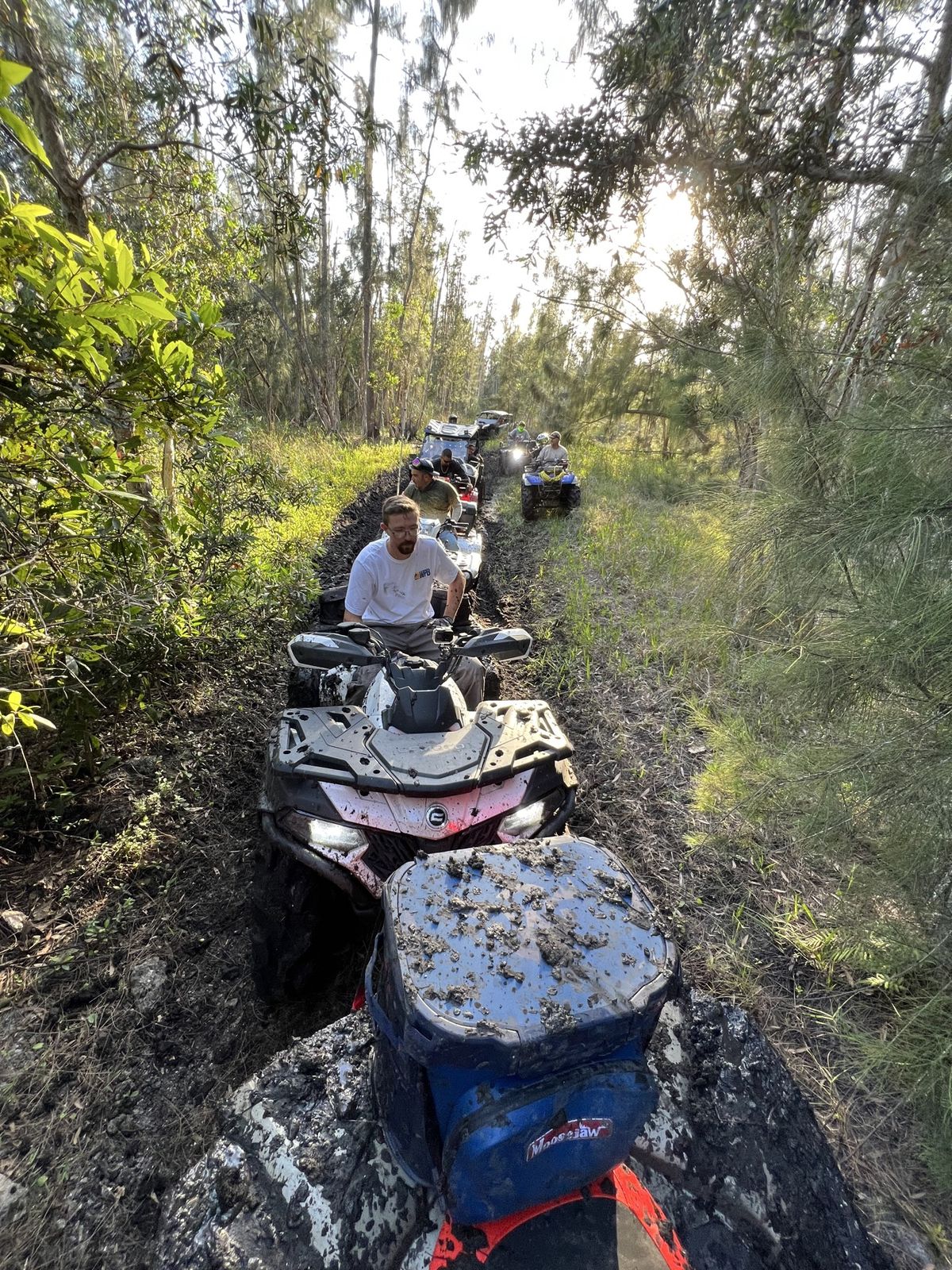 Lineup of ATVs on a narrow woods trail