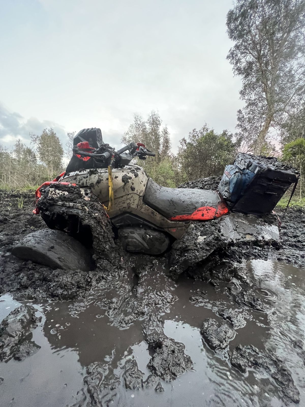 Muddy ATV on a swamp trail