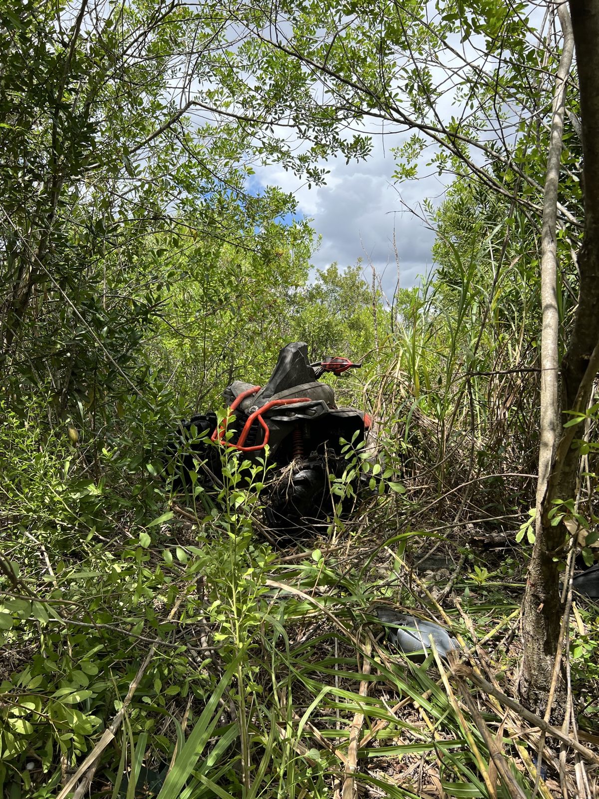 ATV on a narrow woods trail